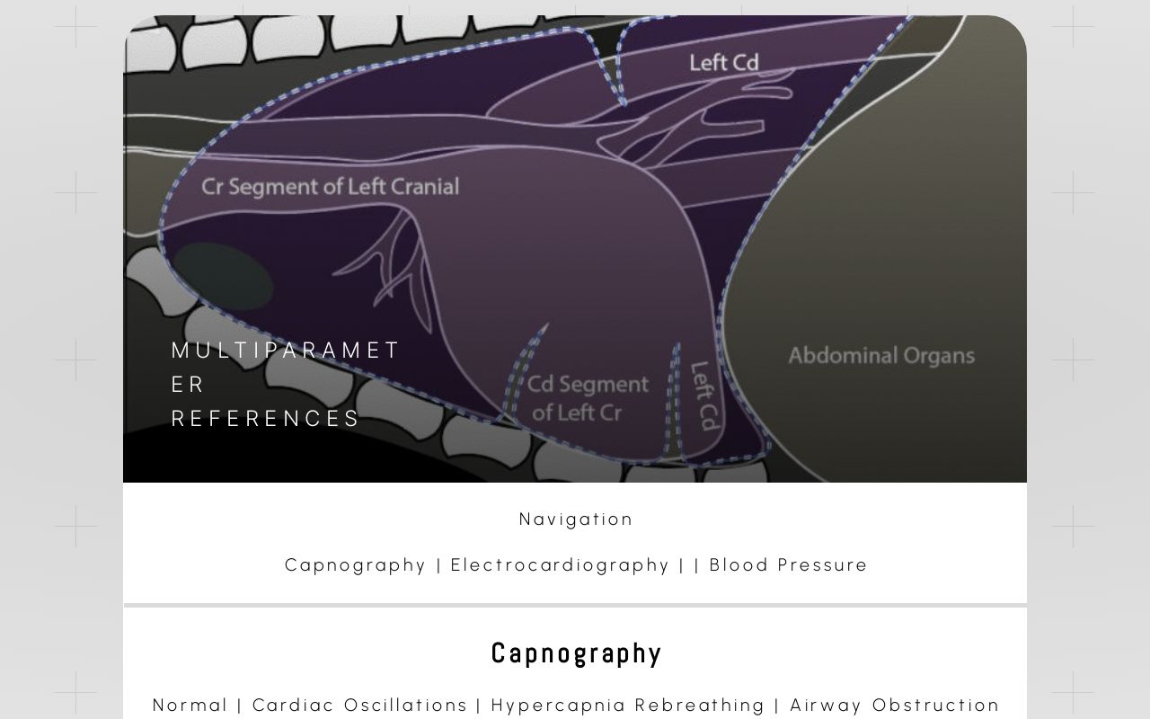 Capnography References